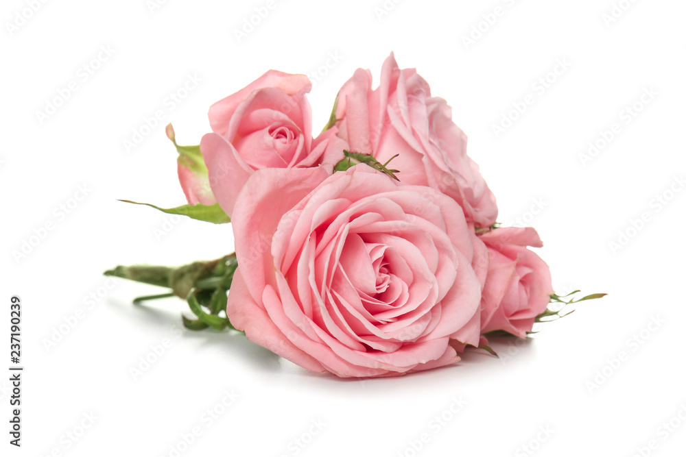 Naklejka premium Beautiful bouquet of roses on white background
