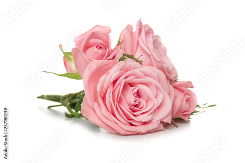 Fototapeta Naklejka Na Ścianę i Meble -  Beautiful bouquet of roses on white background