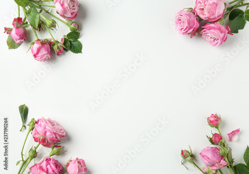 Fototapeta Naklejka Na Ścianę i Meble -  Beautiful pink roses on white background