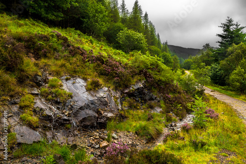 Hiking Trail Through Scenic Forest Landscape On The Isle Of Skye In Scotland