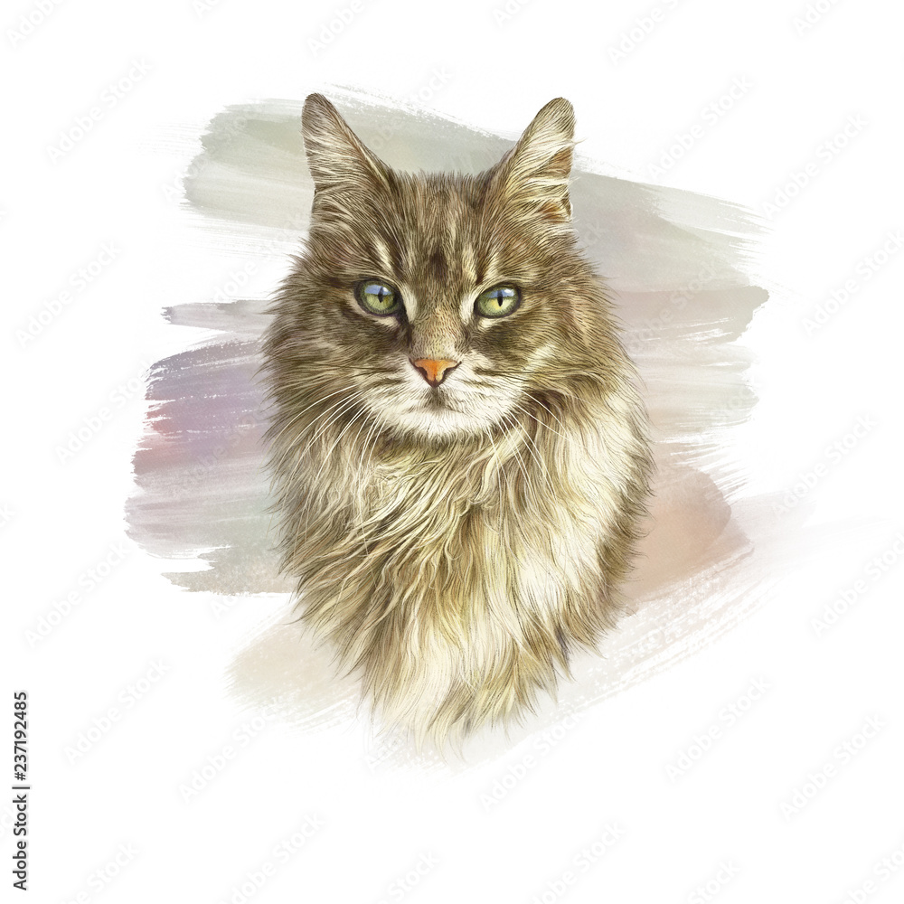 Cute fluffy cat. Watercolor portrait of a kitten. Drawing of a cat with  green eyes executed