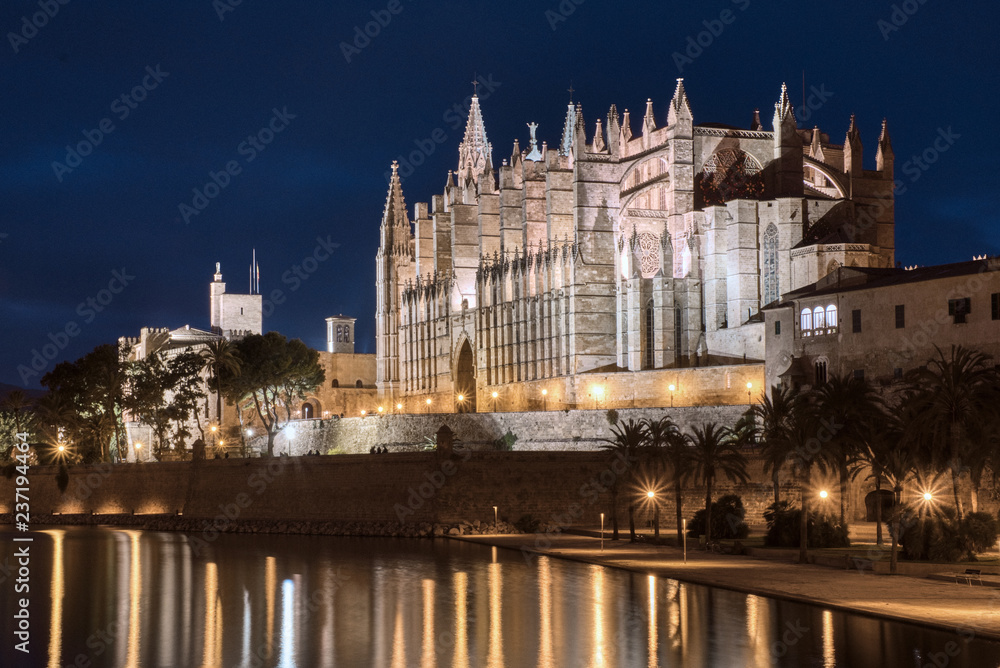 Fototapeta premium Catedral de Palma de noche