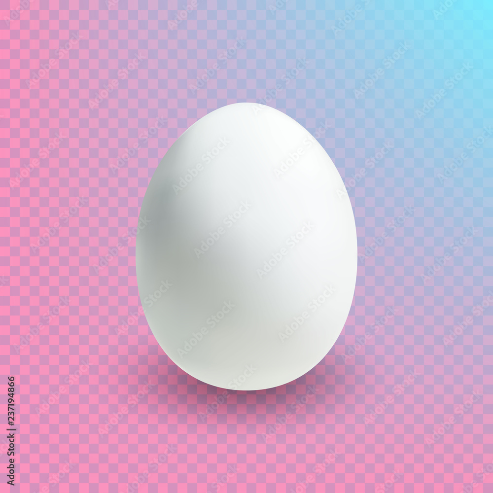 Egg with white eggshell and nice shadow isolated on colorful transparent background. Easter, new life symbol. Egg with white eggshell and nice shadow isolated on colorful transparent background. Easter, new life symbol.