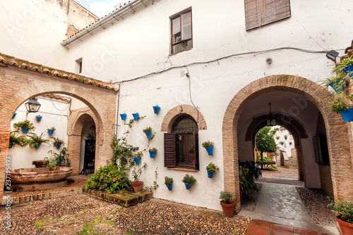 Arches of historical courtyard with flowerpots in town of Andalusia