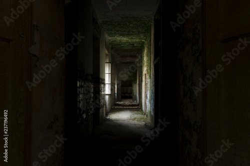 asylum North Italy2 © monobasico