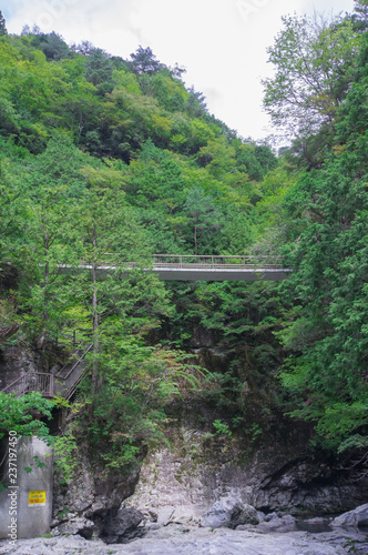 Bridge of the Mitarai ravine Nara,Japan.