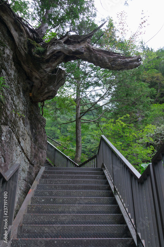 Old stone steps in the Mitarai ravine Nara,Japan.