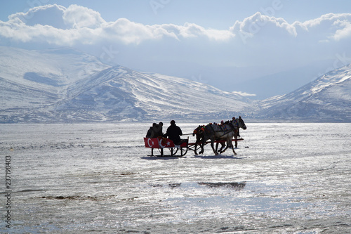horse slades on icy cildir lake, kars,turkey.
