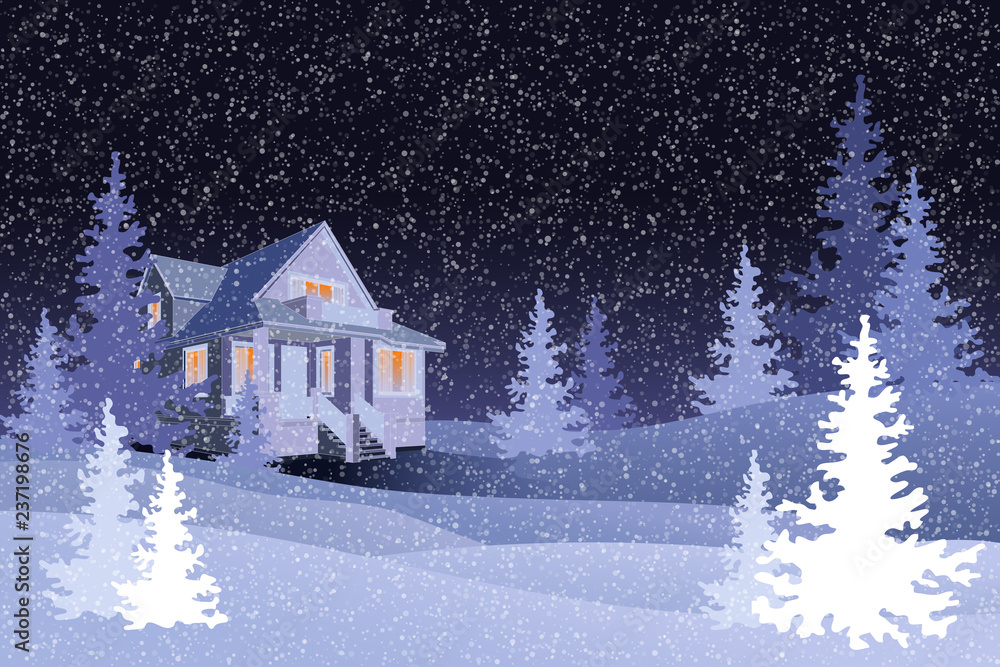Fototapeta premium Winter forest with black night sky, vector