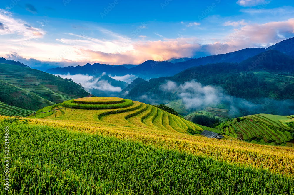 Terraced rice fields in sunrise, Vietnam.