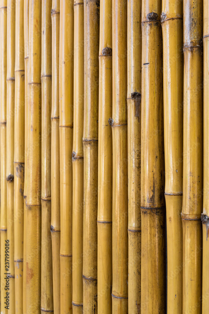 Fototapeta premium Bamboo fence background
