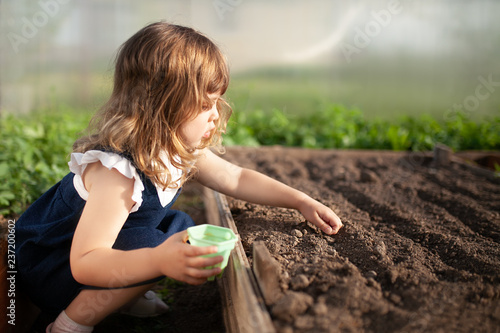Adorable little girl planting seeds in the ground at the greenhouse