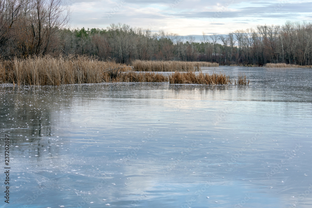 Winter landscape ice-covered lake and trees. Beautiful cloudy sky. Winter landscape ice-covered lake and trees. Beautiful cloudy sky.