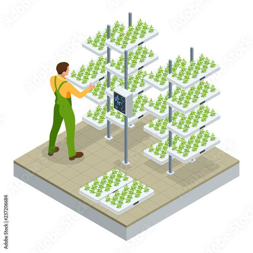 Isometric modern smart industrial greenhouse. Artificial intelligence robots in agricultural. Organic food, agriculture and hydroponic conccept.