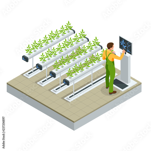 Isometric modern smart industrial greenhouse. Artificial intelligence robots in agricultural. Organic food, agriculture and hydroponic conccept.