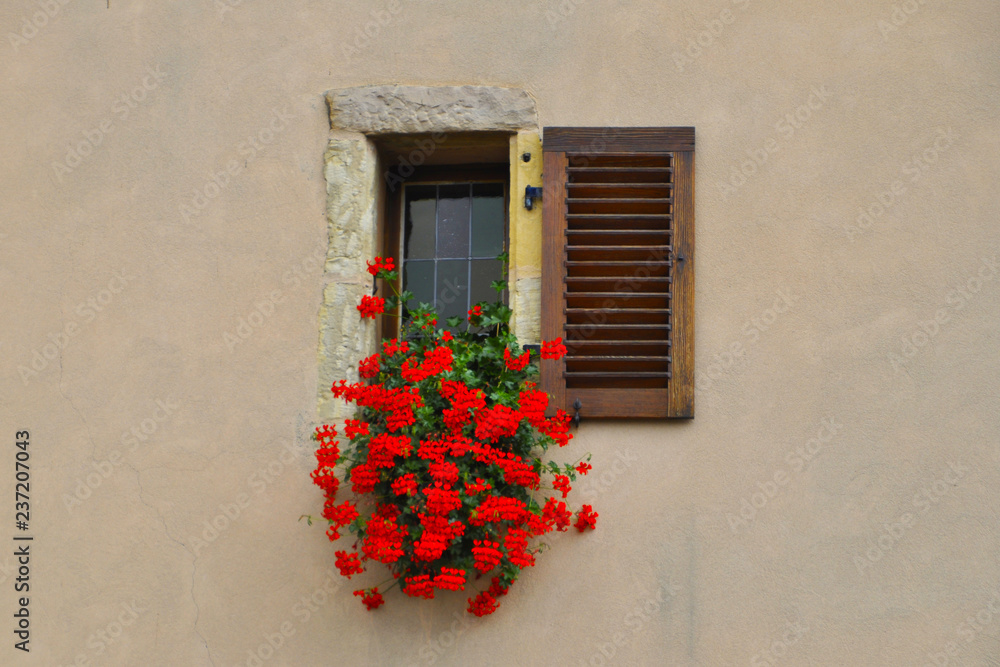 window with flowers in Alsace, France. window with flowers in Alsace, France.
