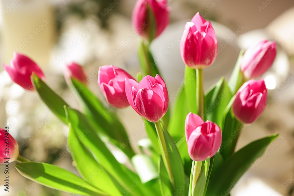 Fototapeta premium Beautiful pink tulips, closeup