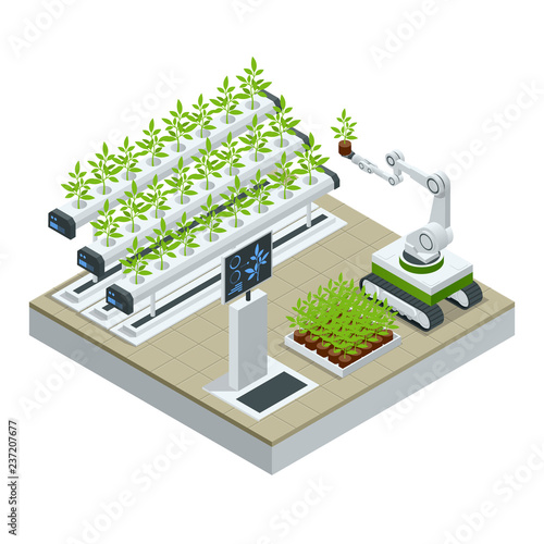 Isometric modern smart industrial greenhouse. Artificial intelligence robots in agricultural. Organic food, agriculture and hydroponic conccept.