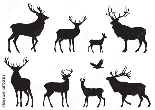 Silhouettes of different Deers and Elks photo