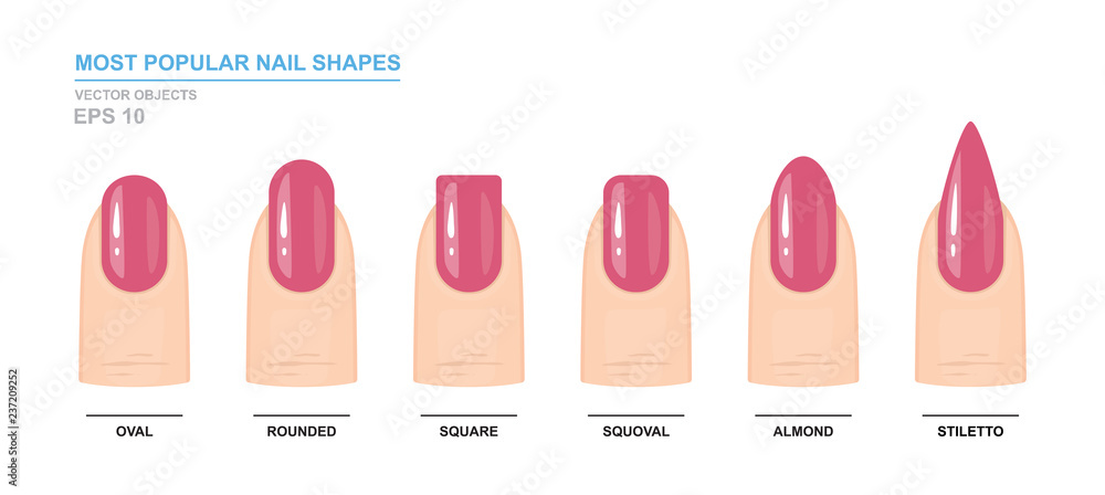 Most popular nail shapes. Different kinds of nail shapes. Manicure Guide.  Vector illustration Stock Vector | Adobe Stock
