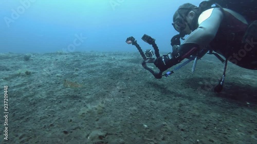 Scuba diver swim and stooting on action camera a Longhorn Cowfish over black volcanic sandy bottom. Horned Boxfish or Longhorn Cowfish - Lactoria cornuta, Bali, Oceania, Indonesia photo