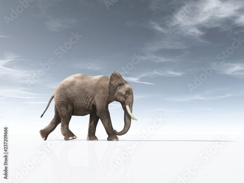 Photography Conceptual image with an  african elephant.