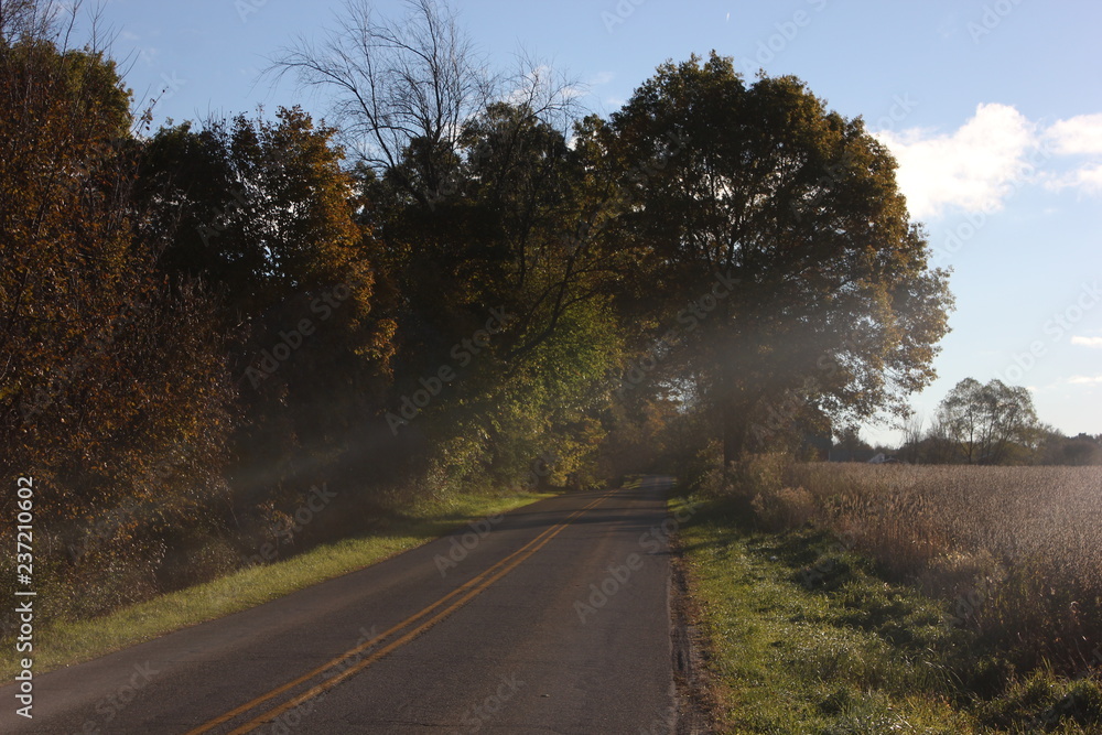Naklejka premium country road