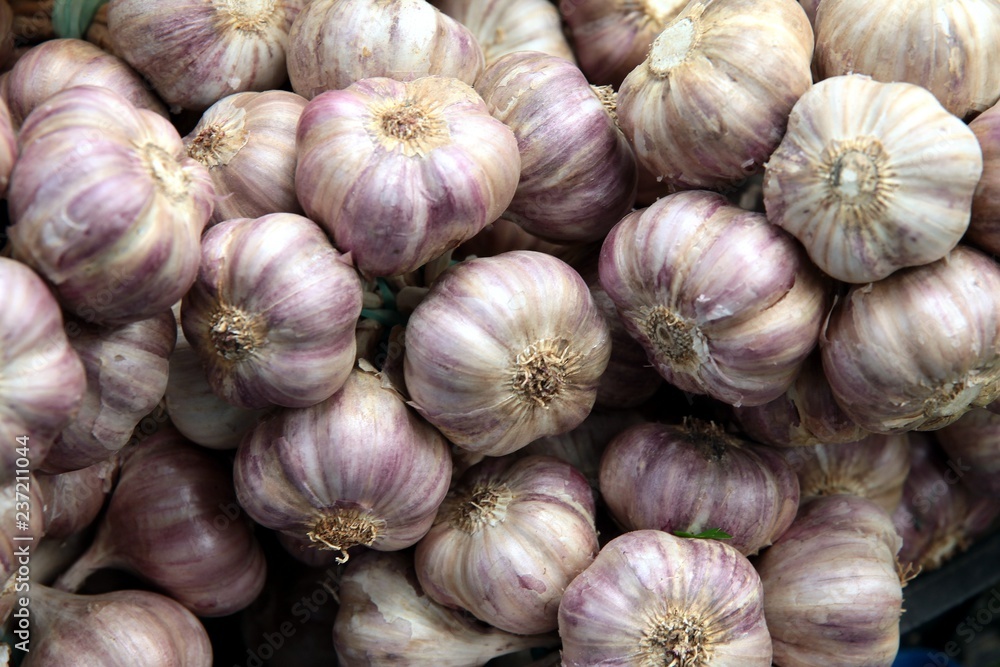 garlic vegetable as spice and natural medicine garlic vegetable as spice and natural medicine