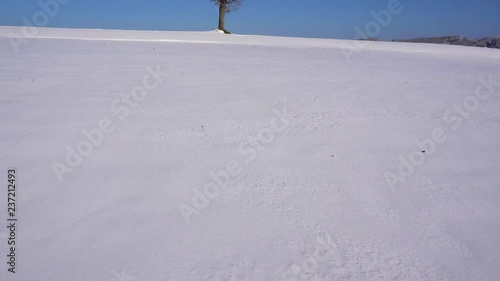 Schneedecke mit Baum