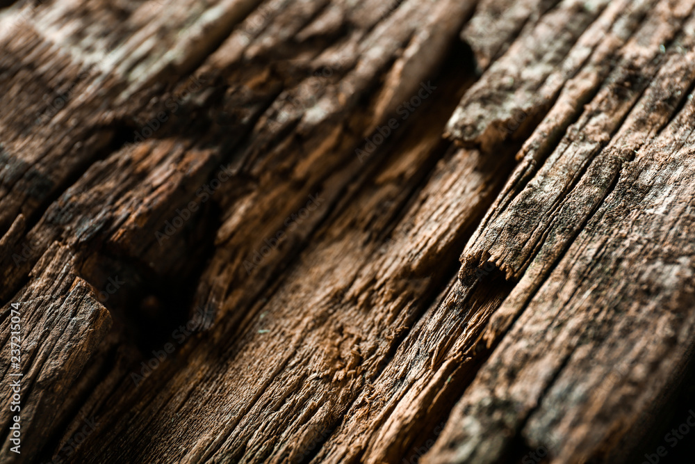 Old wooden texture, closeup Old wooden texture, closeup