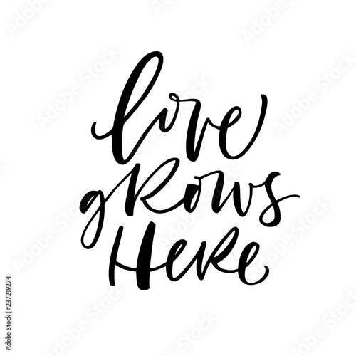 Love grows here card. Modern brush calligraphy. Hand drawn lettering quote.