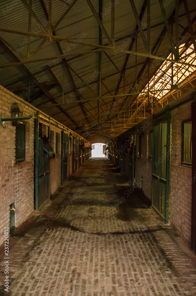 Inside a bricks stable with a horse spying out Inside a bricks stable with a horse spying out