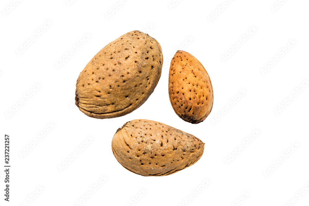 Almond isolated on white Almond isolated on white