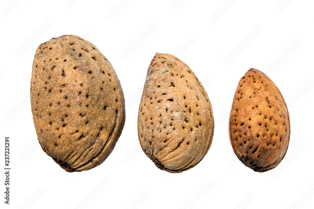 Almond isolated on white Almond isolated on white