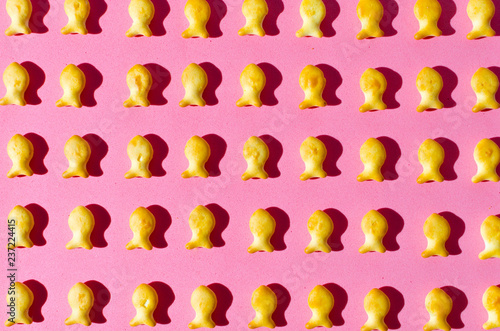 Cookies in form of fish on a pink background in bright light with hard shadows.