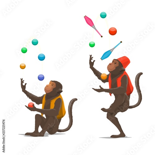 Circus show trained monkeys juggling balls, maces