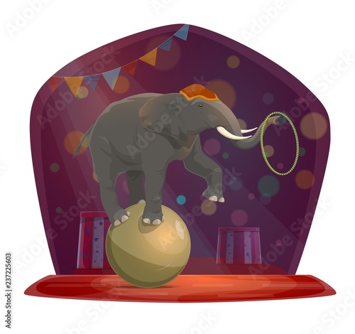 Circus, elephant on ball, chapiteau show