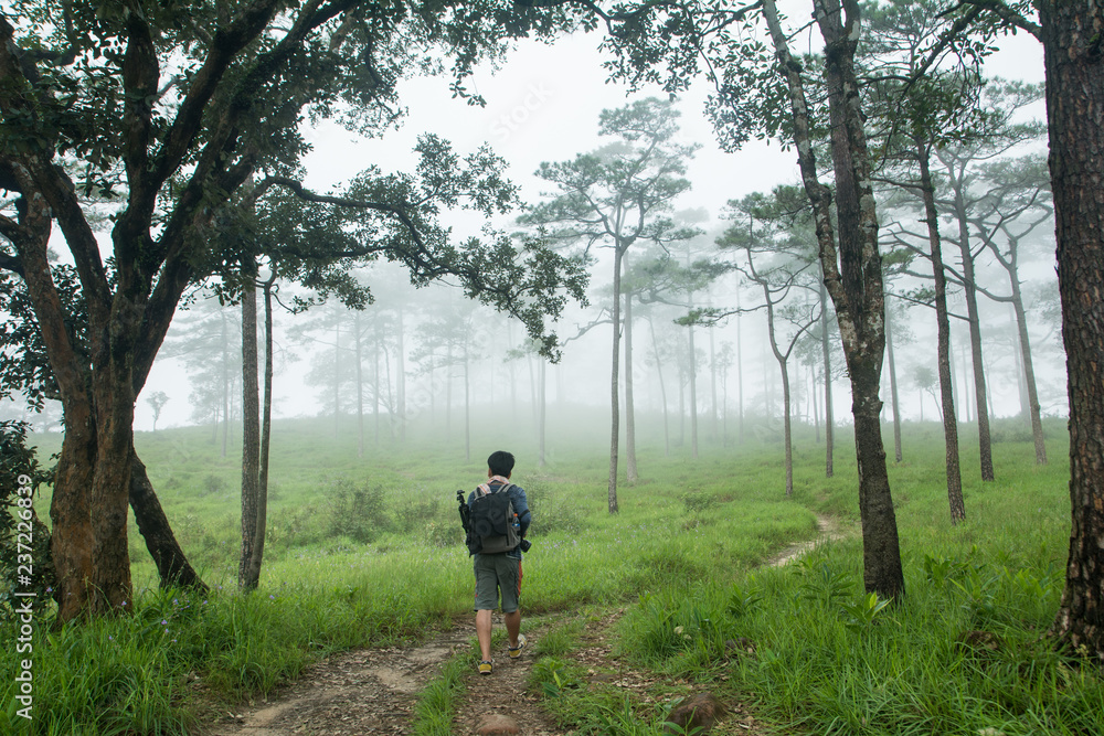 Obraz premium The man walking on path in green meadow, At 
