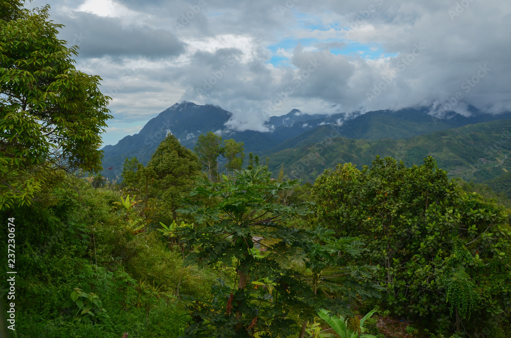 Natural Scenary around Mt. Kinabalu, Sabah, Malaysia Natural Scenary around Mt. Kinabalu, Sabah, Malaysia