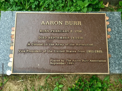 Vászonkép Aaron Burr Grave Marker with Coins