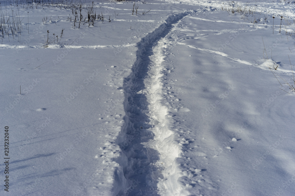 Obraz premium tracks in snow