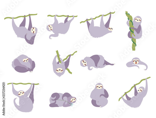 Vector illustration set of cute character sloth