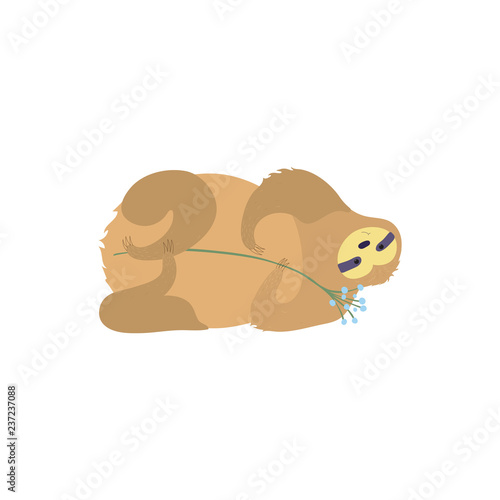 Vector illustration of cute character sloth