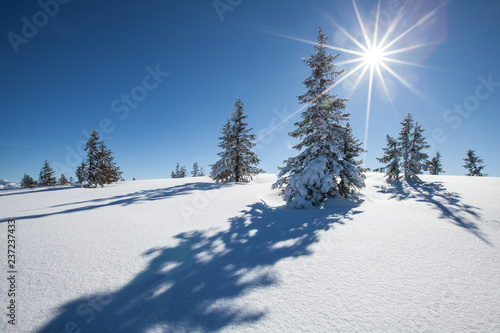 Glitzernder Schnee mit herrlichem Sonnenschein  © christakramer