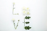Inscription Love by flowers and green leafs on white background