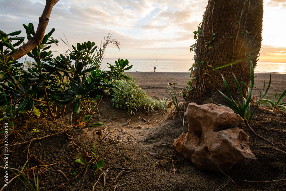 Fototapeta premium Beach with fisherman
