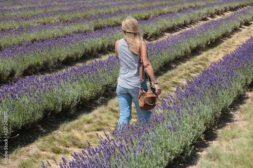 Young lady walking in jeans between lavender growth flowers carrrying small purse
 photo