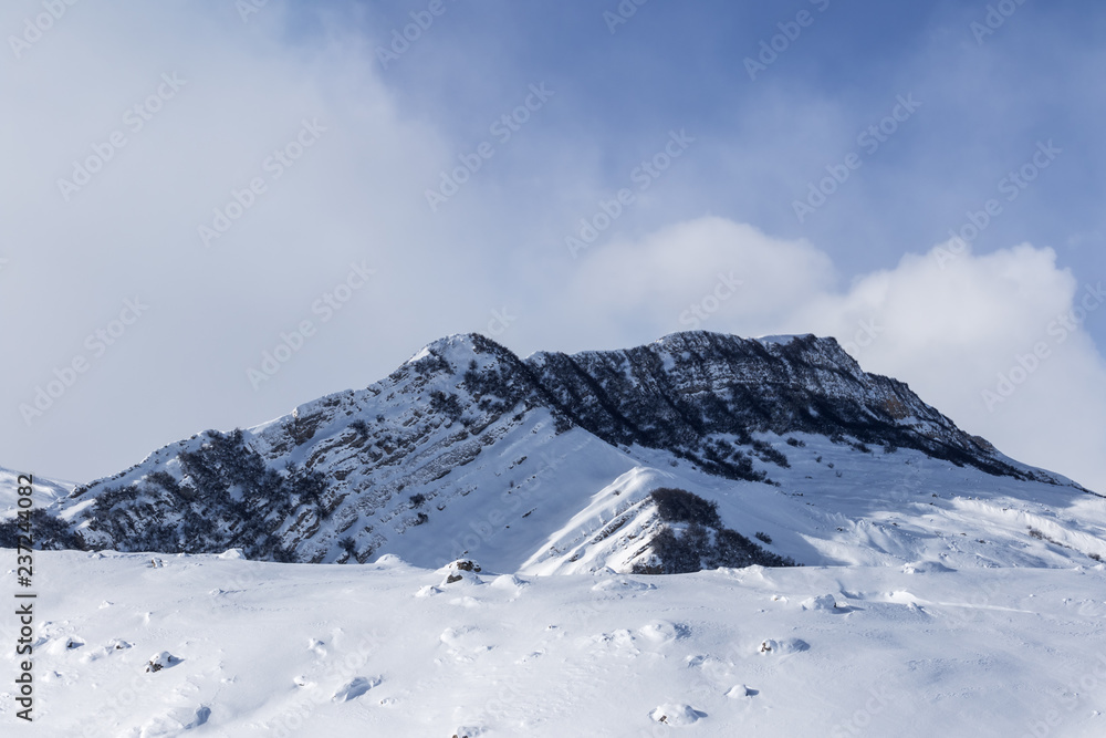 Snowy mount range with forest and sunlight slope