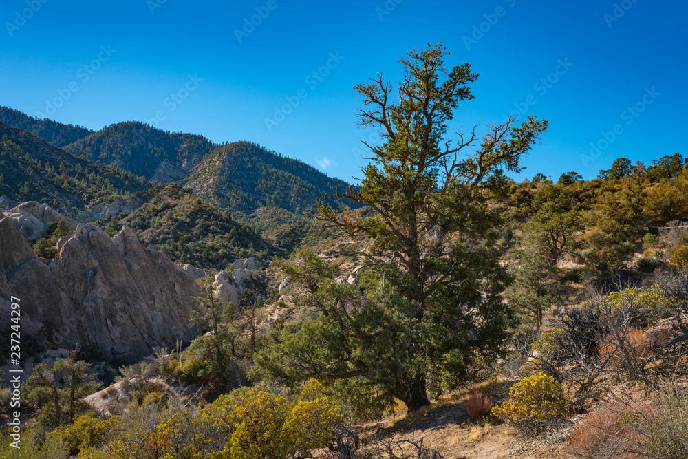 Wooded Hills in Mojave Desert