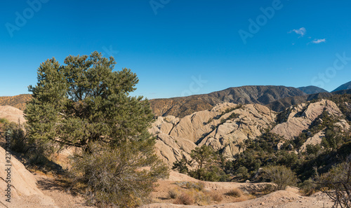 Panorama of Desert Canyon Wall
